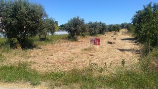 Land for sale in Cantanhede, Portugal — €41,500