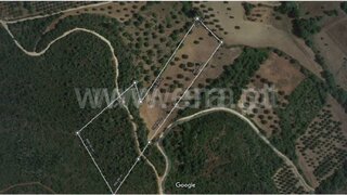 Land for sale in Torres Novas, Portugal — €5,200