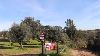 Land for sale in Abrantes, Portugal — €45,000