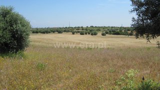 Land for sale in Torres Novas, Portugal — €1,064,750
