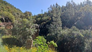 Land for sale in Proença-a-Nova, Portugal — €37,500