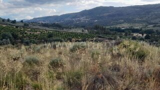 Land for sale in Trancoso, Portugal