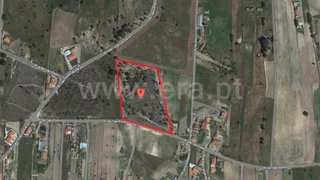 Land for sale in Coruche, Portugal — €180,000