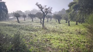 Land for sale in Fundão, Portugal — €18,500