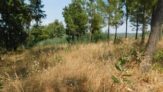 Land for sale in Fundão, Portugal — €42,500