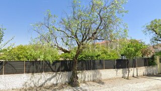 Land for sale in Cantanhede, Portugal — €137,500