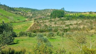 Terreno de 20 000 m² em Santarém