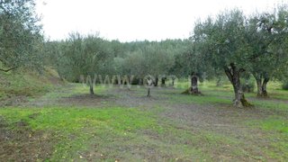 Land for sale in Fundão, Portugal — €13,200