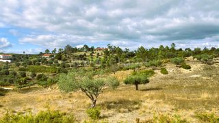 Land for sale in Tomar, Portugal — €78,000