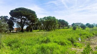 Land for sale in Tomar, Portugal — €70,000