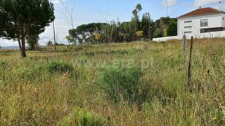 Land for sale in Torres Novas, Portugal — €79,000