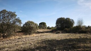 Land for sale in Fundão, Portugal — €77,500