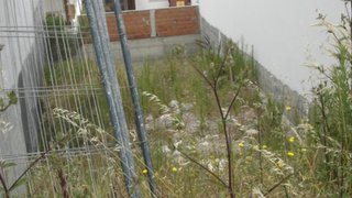 Land for sale in Figueira da Foz, Portugal — €80,000