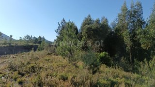 Land for sale in Vila Velha de Ródão, Portugal
