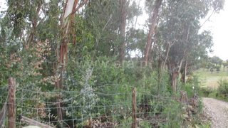 Land for sale in Penamacor, Portugal — €16,000