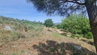 Land for sale in Gouveia, Portugal — €12,000