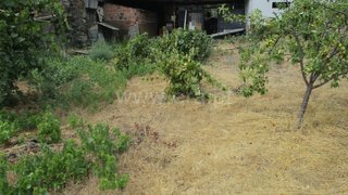 Land for sale in Proença-a-Nova, Portugal — €16,500