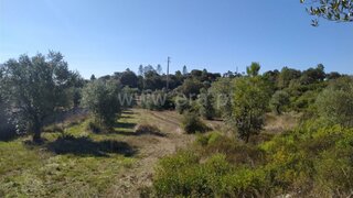 Land for sale in Tomar, Portugal — €24,920