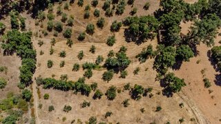 Land for sale in Fundão, Portugal — €15,000