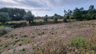 Land for sale in Tábua, Portugal — €27,500