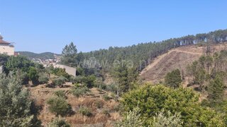 Land for sale in Fundão, Portugal — €22,500