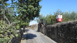 Land for sale in Idanha-a-Nova, Portugal — €21,500
