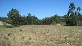Land for sale in Montemor-o-Velho, Portugal