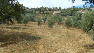 Land for sale in Proença-a-Nova, Portugal — €27,500