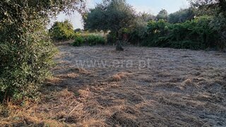 Land for sale in Fundão, Portugal — €26,500