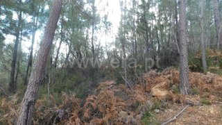 Land for sale in Fundão, Portugal — €18,500