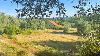 Land for sale in Tomar, Portugal — €25,000