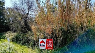 Land for sale in Tomar, Portugal — €45,000