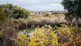 Land for sale in Fundão, Portugal — €37,500