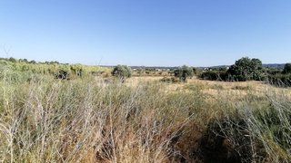 Land for sale in Abrantes, Portugal — €450,000