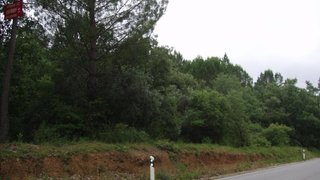 Land for sale in Soure, Portugal