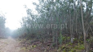Land for sale in Fundão, Portugal — €9,500