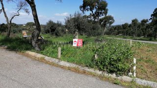 Land for sale in Constância, Portugal — €20,000