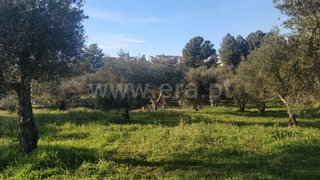 Land for sale in Covilhã, Portugal — €57,500