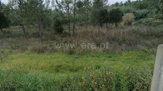 Land for sale in Sardoal, Portugal — €30,000
