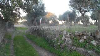 Land for sale in Idanha-a-Nova, Portugal — €8,000