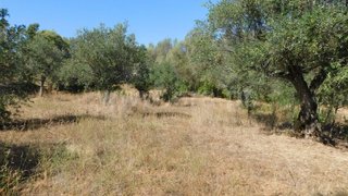 Land for sale in Fundão, Portugal — €22,000