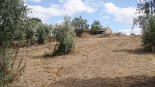 Land for sale in Cantanhede, Portugal