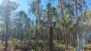 Land for sale in Figueira da Foz, Portugal — €15,000
