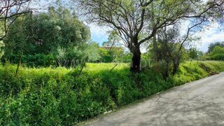 Land for sale in Torres Novas, Portugal — €38,000
