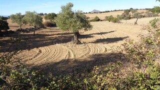 Land for sale in Idanha-a-Nova, Portugal — €18,500