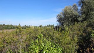 Land for sale in Figueira da Foz, Portugal — €45,000