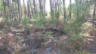Land for sale in Cantanhede, Portugal — €26,500