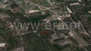 Terreno em Cantanhede