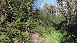 Land for sale in Figueira da Foz, Portugal — €13,000