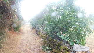 Terreno em Covilhã